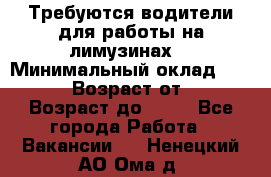 Требуются водители для работы на лимузинах. › Минимальный оклад ­ 40 000 › Возраст от ­ 28 › Возраст до ­ 50 - Все города Работа » Вакансии   . Ненецкий АО,Ома д.